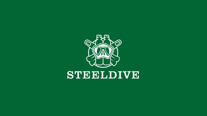 STEELDIVE Brand SD1953S Solid Bronze 41mm 30ATM Waterproof Sapphire Glass Super Luminous  NH35 Automatic Mens Dive Watch