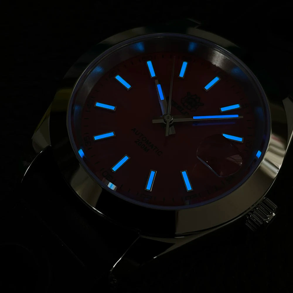 STEELDIVE SD1934 NH35 Automatic Movement 39mm Stainless Steel BGW9 Blue Luminous Sapphire Glass 200M Water Ghost Dive Watches