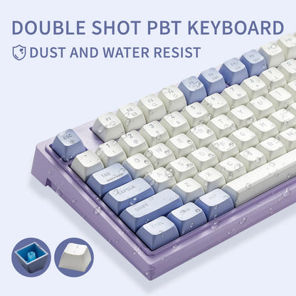 HEXGEARS M2 Mechanical Keyboard 87 Key Hot Swap PBT Gasket Structure White Backlit Macro Defined Gaming Mechanical Keyboard