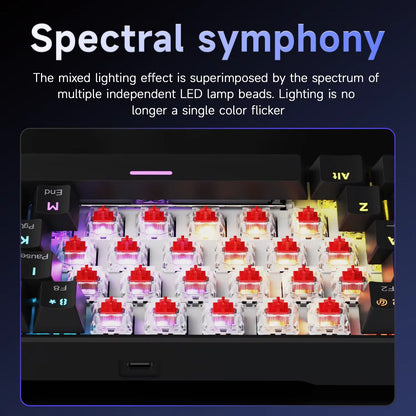 AJAZZ NK61 61-Key Red Switch Wired Mechanical Keyboard with Hot-Swappable Keys and RGB Lighting, Suitable for PC and Mac