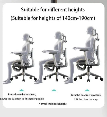 Support, Electronic Gaming Seat Computer Chair Back Adjustable Ergonomic Free Delivery Office Chair Wheelchair Furniture