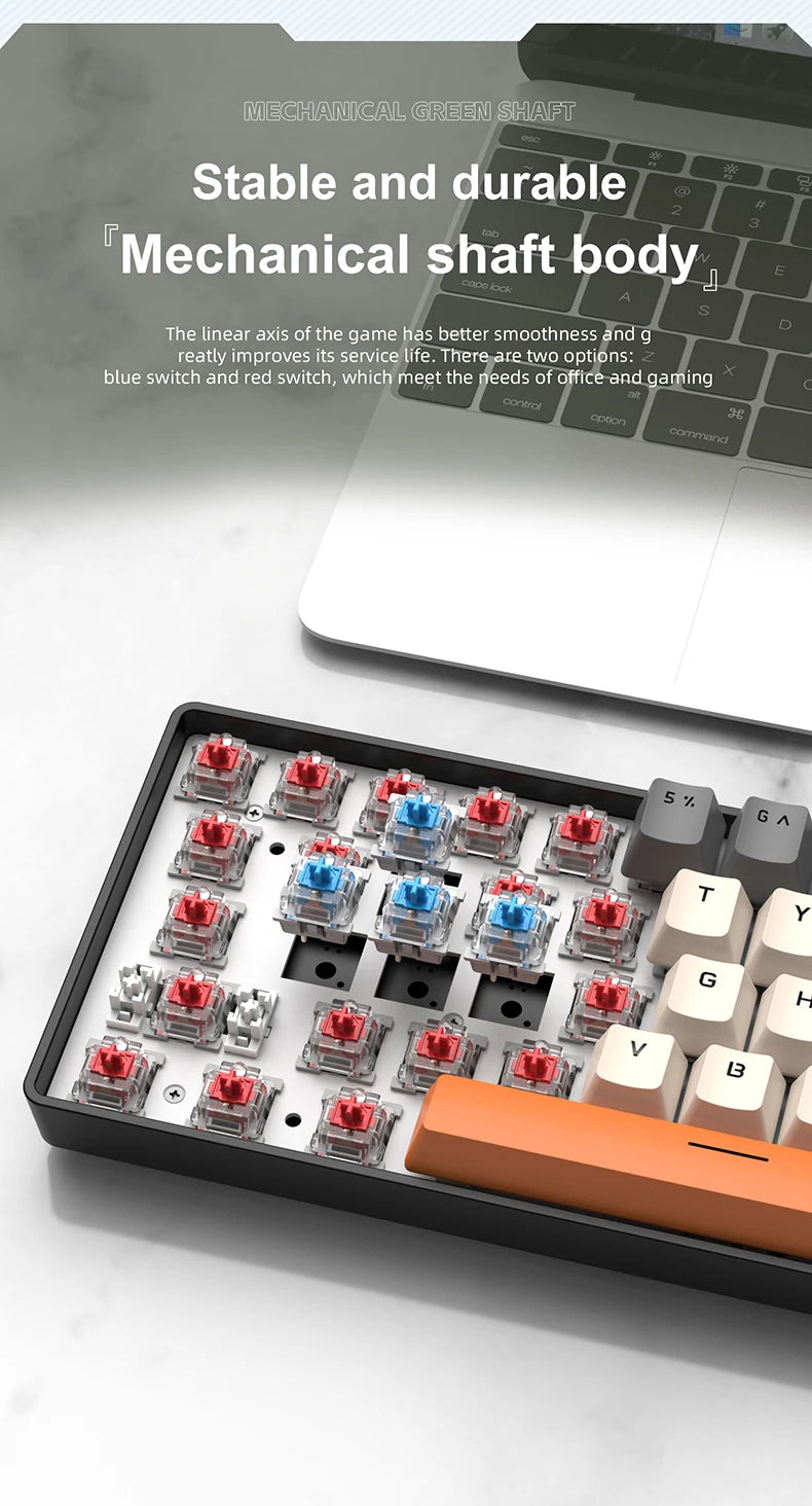 61 Keys Mechanical Keyboard Wired, APAYADO K61 RGB 60% Portable Mini Keyboard Black, White, Red/Blue Switch for Gaming