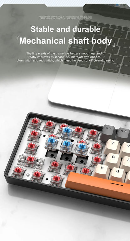 61 Keys Mechanical Keyboard Wired, APAYADO K61 RGB 60% Portable Mini Keyboard Black, White, Red/Blue Switch for Gaming