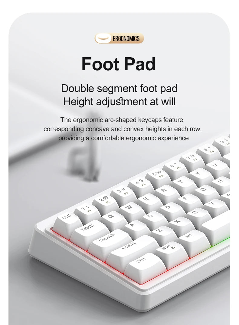 FREEWOLF M68SE Mechanical Feel Keyboard 68 Keys Mini Wired Compact Keyboard Silent for Laptops, Gaming and Office Use