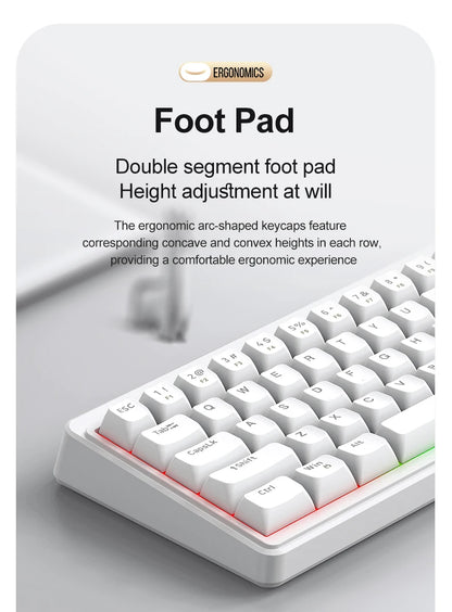 FREEWOLF M68SE Mechanical Feel Keyboard 68 Keys Mini Wired Compact Keyboard Silent for Laptops, Gaming and Office Use