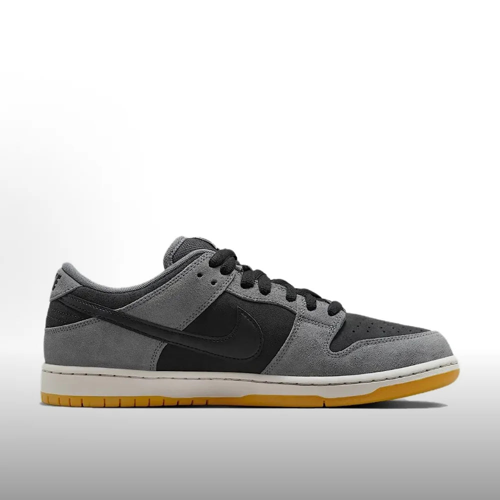 Nike Dunk SB Unisex Skate Shoes Comfort Cushioned Lightweight Durable Sneakers for Casual Streetwear Sports HF3063-001