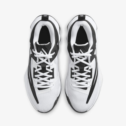 Nike Authentic Giannis Immortality Men's Basketball Shoes DZ7534-100