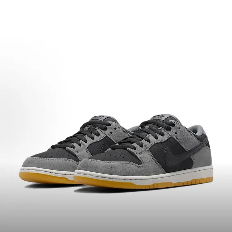 Nike Dunk SB Unisex Skate Shoes Comfort Cushioned Lightweight Durable Sneakers for Casual Streetwear Sports HF3063-001