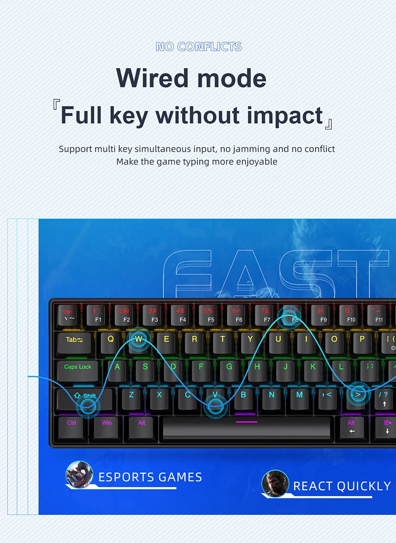 APAYADO K61 Mini Mechanical Keyboard, Wired, 61 Keys, Phantom RGB, Black/White Red/Blue Mechanical Switch for Gaming, 60% Portable