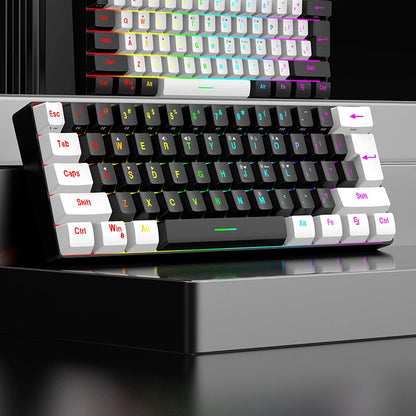 61-Key Wired White, Black and Blue Switch Waterproof Mechanical Keyboard RGB Illuminated Game and Office Kit PUBG Gamer Backlit