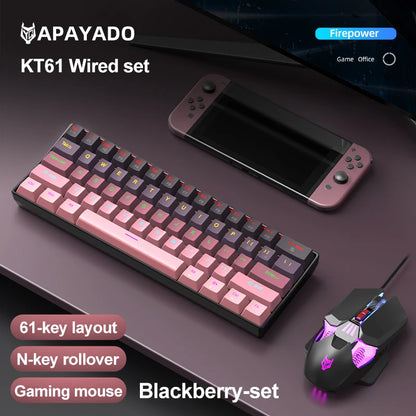 APAYADO K61 Mini Mechanical Keyboard, Wired, 61 Keys, Phantom RGB, Black/White Red/Blue Mechanical Switch for Gaming, 60% Portable