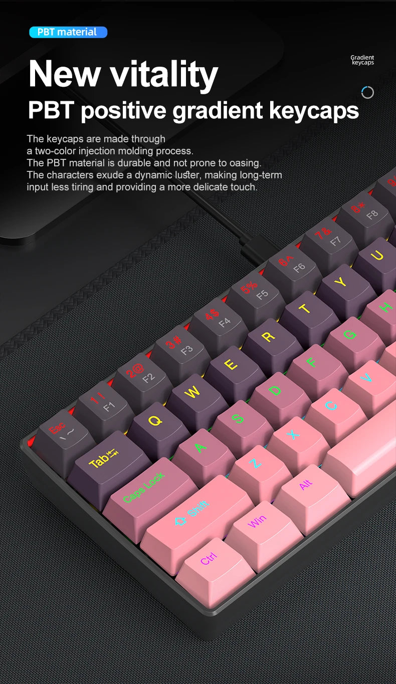 APAYADO K61 Mini Mechanical Keyboard, Wired, 61 Keys, Phantom RGB, Black/White Red/Blue Mechanical Switch for Gaming, 60% Portable