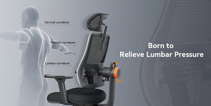 NEWTRAL Ergonomic Office Chair, Auto-Following Backrest, Adaptive Lower Back Support, Adjustable Headrest Seat Depth Computer Chair