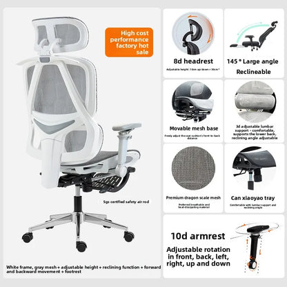 Internet Celebrity Ergonomic Chair Office Chair Back Chair Home Computer Chair Gaming Chair Sturdy and Durable