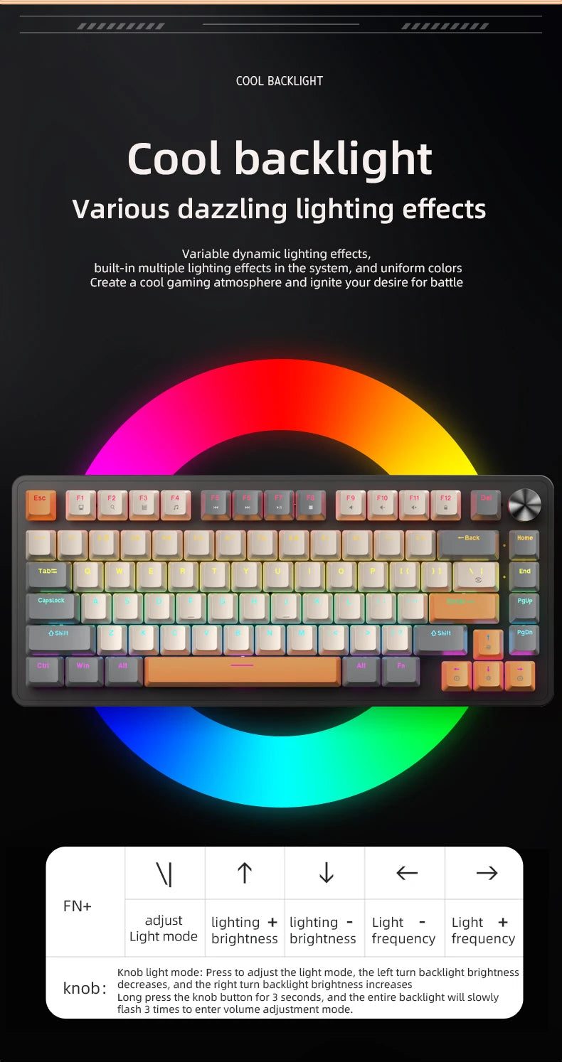 75% Mechanical Keyboard Wired with Media Knob, APAYADO Black Gaming Keyboard, Hot-Swap, ABS Cap Transparent Character Backlighting