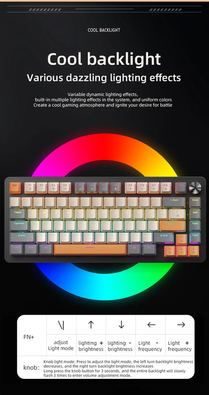 75% Mechanical Keyboard Wired with Media Knob, APAYADO Black Gaming Keyboard, Hot-Swap, ABS Cap Transparent Character Backlighting