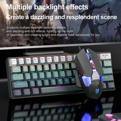 APAYADO K61 Mini Mechanical Keyboard, Wired, 61 Keys, Phantom RGB, Black/White Red/Blue Mechanical Switch for Gaming, 60% Portable